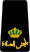 11. JLF-MAJ.svg