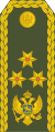 18-Montenegro Army-LG.svg