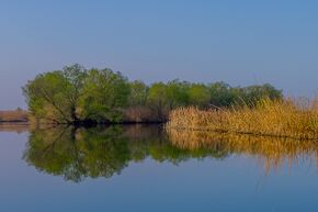 Astrakan Reserve-5.jpg