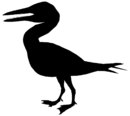 Ichthyornis Silhouette.png