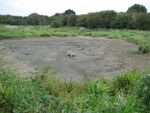 Water End Swallow Holes, Sinkhole basin - geograph.org.uk - 990539.jpg