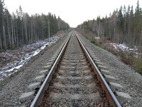 Пл. 55 км (Лахколамен - Поросозеро).jpg