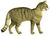 Anatomie descriptive et comparative du chat (1845) Pl-I (white background & colourised).jpg