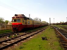 Diesel multiple units, BL,MD.jpg