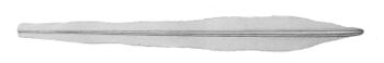 Gladius Taningia danae.jpg