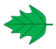 Pennatilobé.svg
