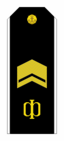 RAF N R8SCPO 1994-2010par.png