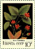 Почтовая марка СССР № 5275. 1982. Дикорастущие ягоды.jpg
