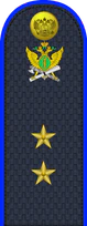 07.погон ФССП - прапорщик.png