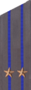 погоны 1959