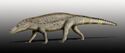 Armadillosuchus NT.jpg