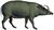 Babiroussa (white background).jpg