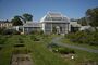 Botanic garden Kaisaniemi 2008-002.jpg