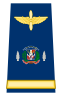 Capona teniente coronel fuerza aerea.svg