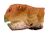 Psittacosaurus neimongoliensis BW.jpg