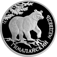 RR5109-0006R Гималайский медведь.png