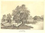 Taras Shevchenko painting 0212.jpg