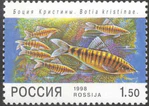 1998. Марка России 0428 hi.jpg