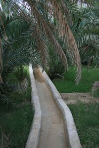 Falaj at al ain.jpg