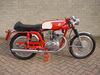MV Agusta Supersport 1971.jpg