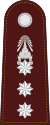 RTP OF-5 (Police Colonel).svg