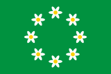 Флаг