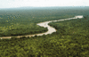 River gambia Niokolokoba National Park.gif
