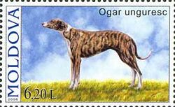 Stamp of Moldova 041.jpg