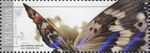 Stamp of Ukraine s1650.jpeg