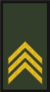ANA CPL.png
