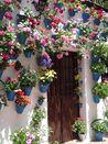 Concurso de Patios Crdb.jpg