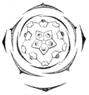 Geranium pratense flowerdiagram.png