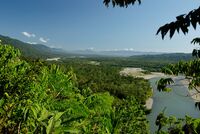 Manu National Park-71.jpg