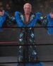 Ric Flair in Seoul, South Korea.jpg