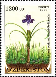 Stamps of Uzbekistan, 2010-02.jpg