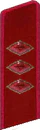 петлица ГБ 1937