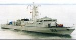 303 - Triki.jpg