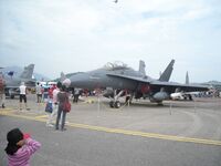FA-18D Hornet TUDM.jpg