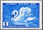 The Soviet Union 1959 CPA 2330 stamp (Mute Swan).jpg