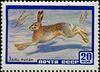 The Soviet Union 1960 CPA 2403 stamp (European Hare).jpg