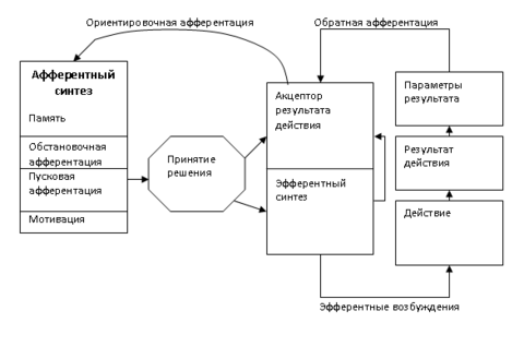 Theory of functional systems.gif