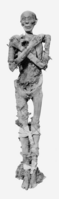 Thutmose II mummy.png