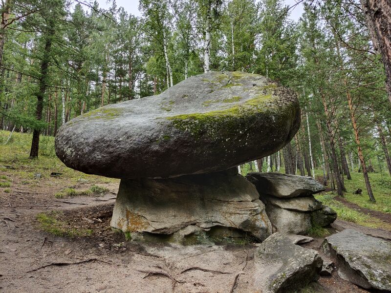 Каменный Гриб.jpg