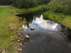 Nägöala vastuvirdua