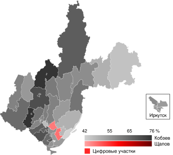 2020 Irkutsk Oblast gubernatorial election map.svg