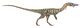 Coelophysis Jeff Martz (flipped).jpg