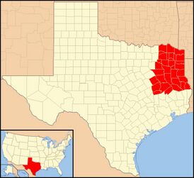 Diocese of Tyler in Texas.jpg