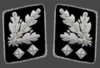 HH-SS-Obergruppenfuhrer-Collar.png
