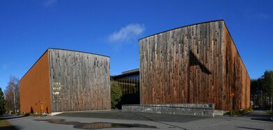 Evropan mectedoinstitut puižiš «METLA-talo»-sauvusiš