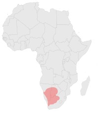 Kot czarnolapy wystepowanie.svg